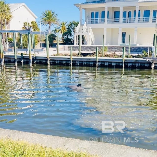 dock area with a water view