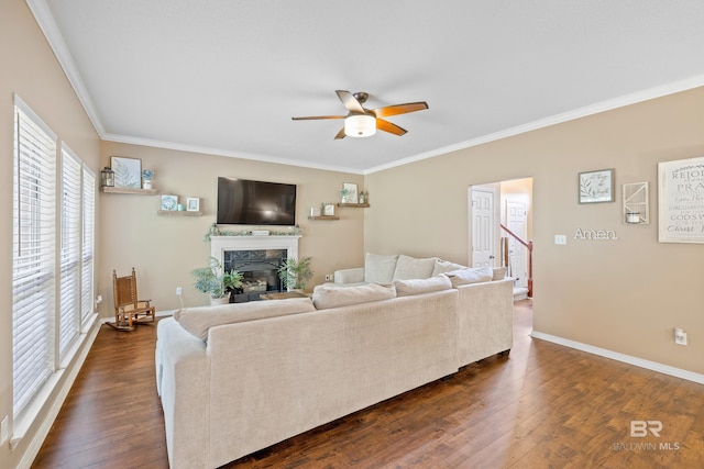 living room featuring ceiling fan, crown molding, and dark wood-type flooring