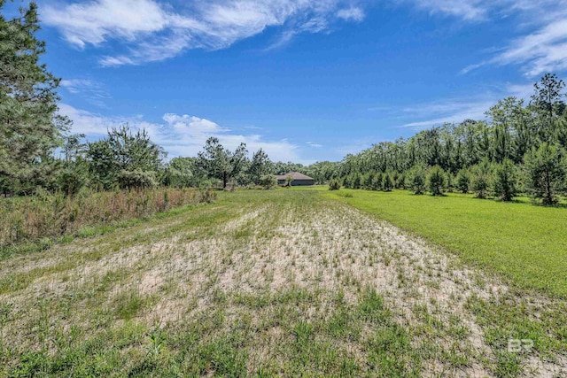 18255 Cactus Ct, Elberta, AL 36530 - view of street featuring driveway and a rural view