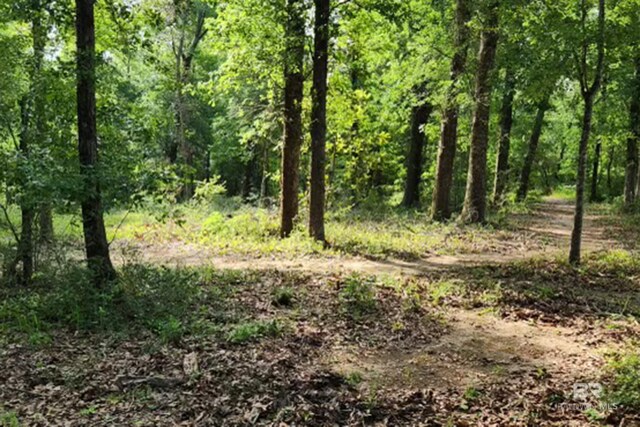 18255 Cactus Ct, Elberta, AL 36530 - view of nature featuring a forest view