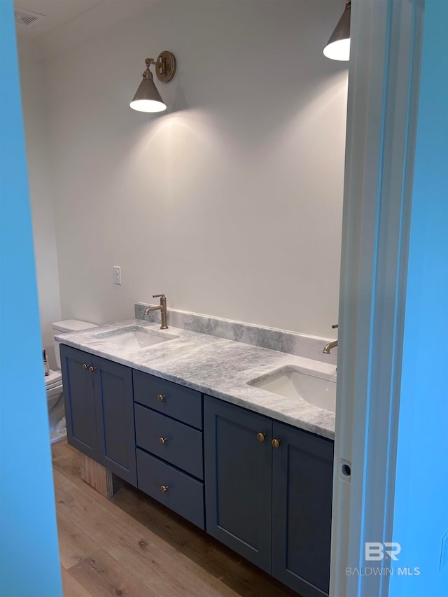 bathroom with vanity, toilet, and wood-type flooring