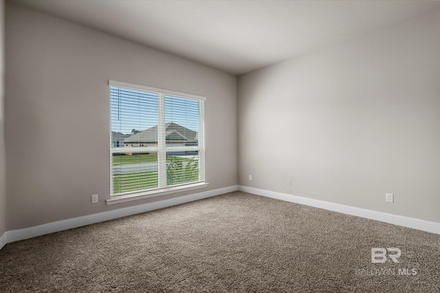 empty room with a wealth of natural light and carpet floors