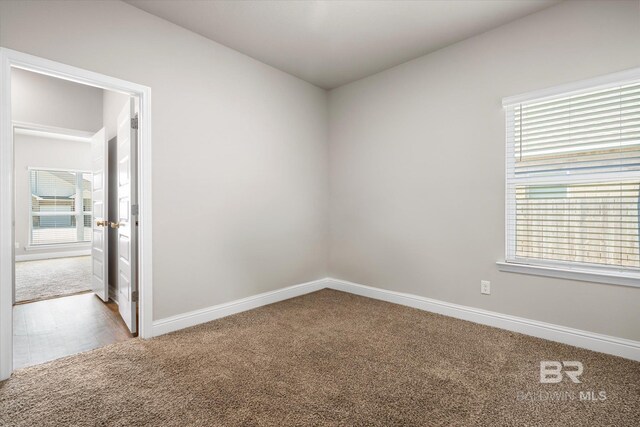 spare room with carpet floors