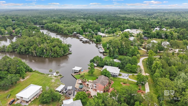 bird's eye view of a forest and a nearby body of water
