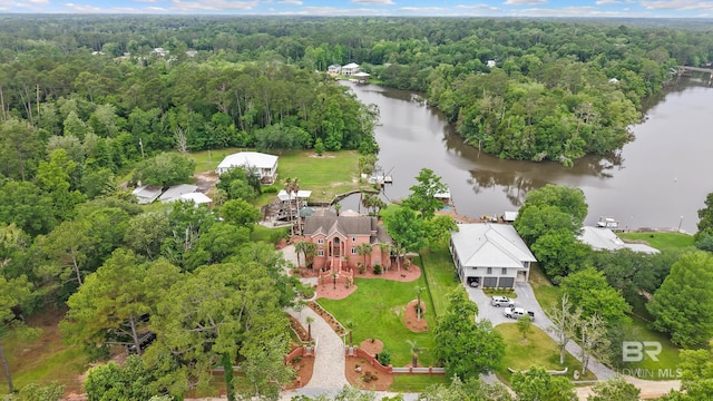 aerial view of a forest and a nearby body of water