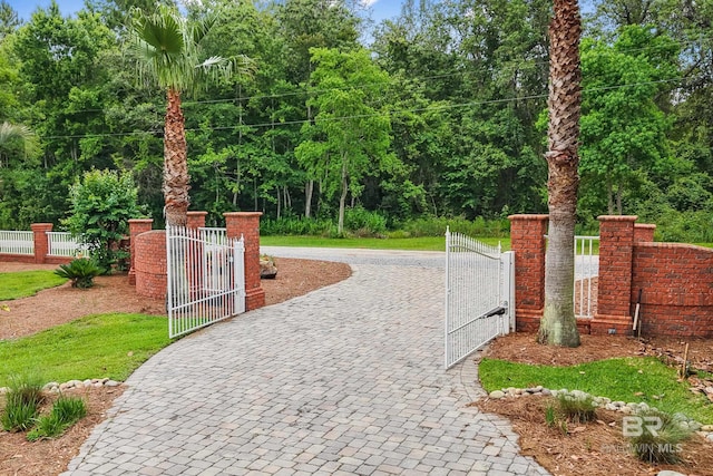 view of home's community featuring a gate and curved driveway