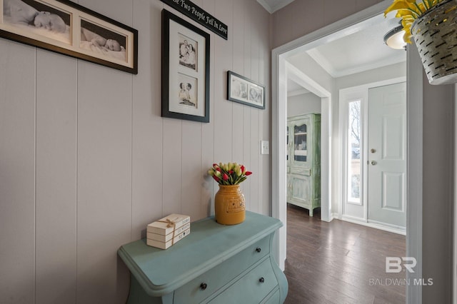 foyer with ornamental molding and dark hardwood / wood-style flooring