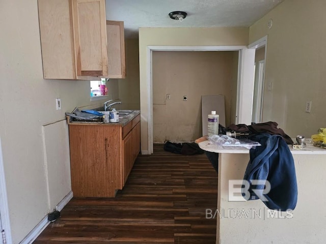 19930 Shepard Lake Rd, Mount Vernon, AL 36560 - kitchen featuring a sink and dark wood-type flooring