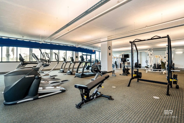 workout area featuring carpet floors