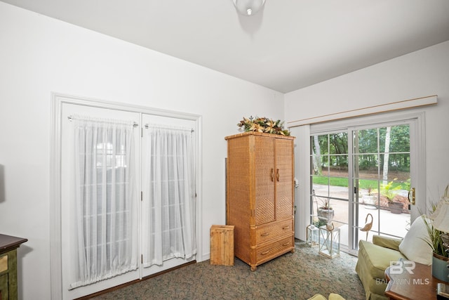 11346 County Road 99, Lillian, AL 36549 - living area with carpet flooring