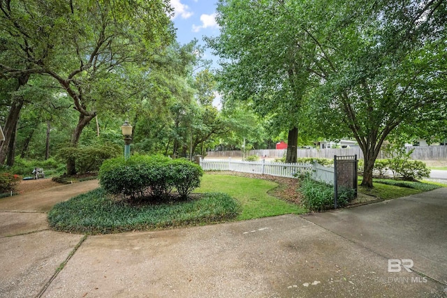 11346 County Road 99, Lillian, AL 36549 - view of yard