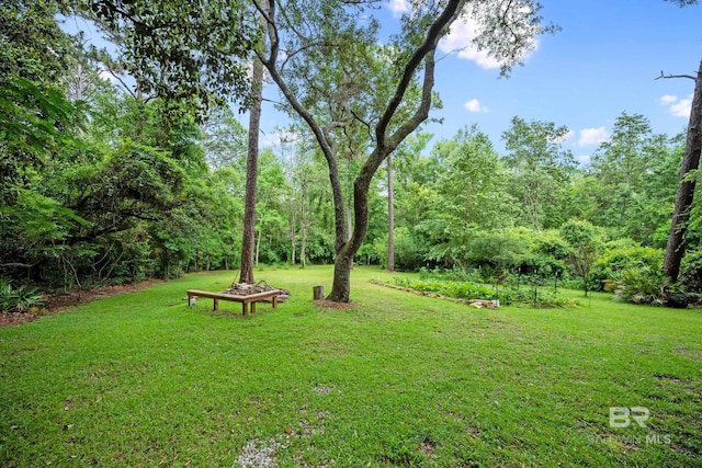 11346 County Road 99, Lillian, AL 36549 - view of grassy yard