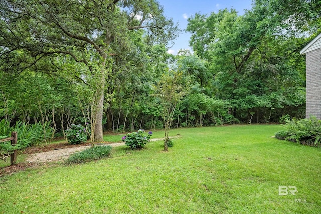 11346 County Road 99, Lillian, AL 36549 - view of grassy yard