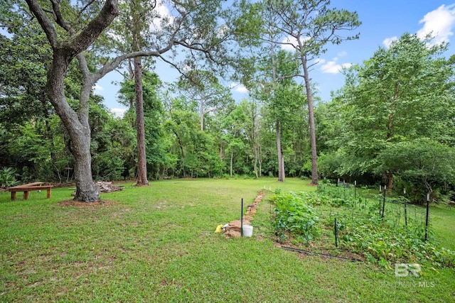11346 County Road 99, Lillian, AL 36549 - view of green lawn
