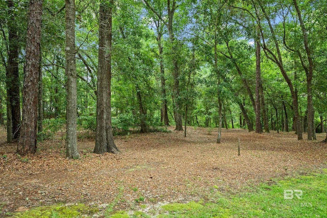 11346 County Road 99, Lillian, AL 36549 - view of yard featuring a forest view