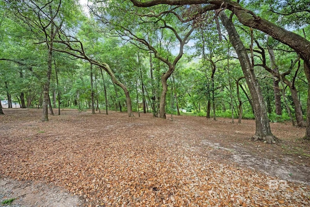 11346 County Road 99, Lillian, AL 36549 - view of local wilderness