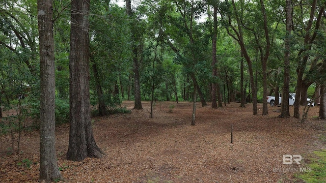 11346 County Road 99, Lillian, AL 36549 - view of woods