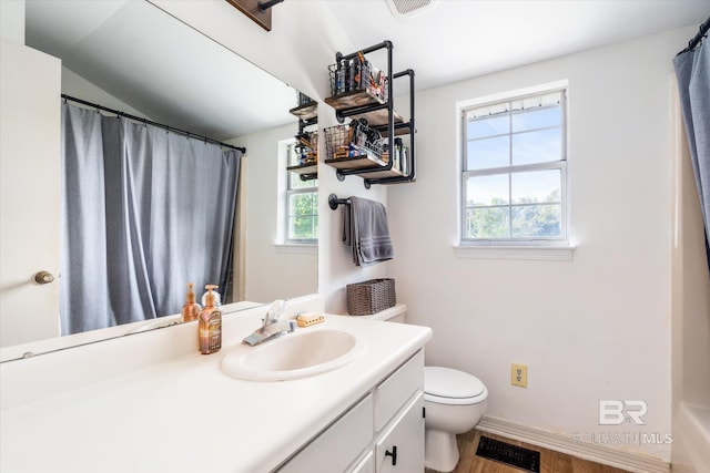 bathroom with a wealth of natural light, vanity, wood-type flooring, and toilet