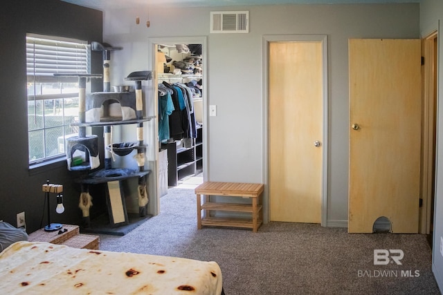 carpeted bedroom with a closet