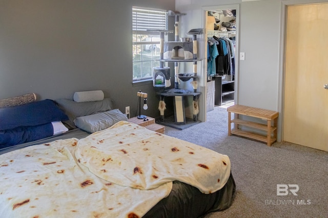 bedroom with a closet and carpet