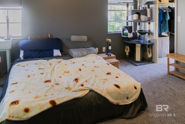 carpeted bedroom with a closet