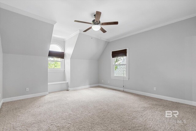 additional living space featuring a wealth of natural light, lofted ceiling, ceiling fan, and carpet floors