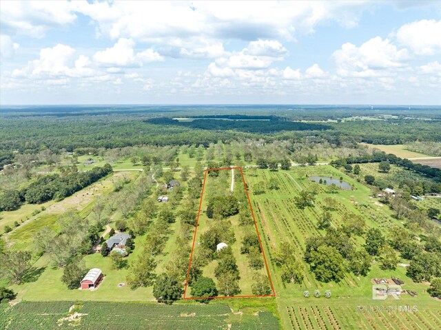 bird's eye view with a rural view