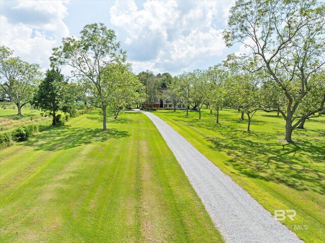 view of property's community with a yard