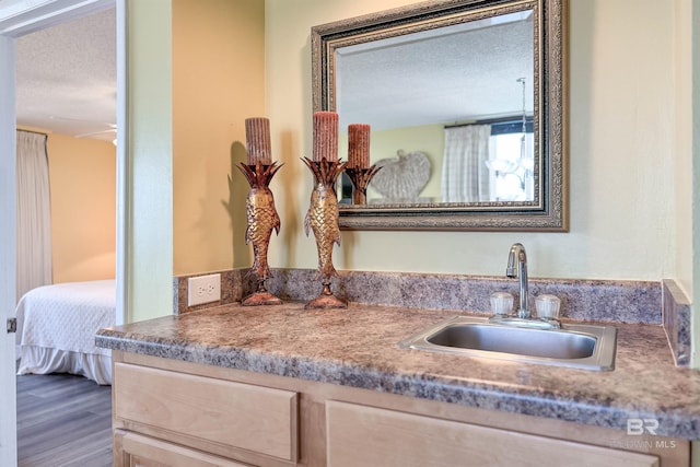 details with a sink and wood finished floors