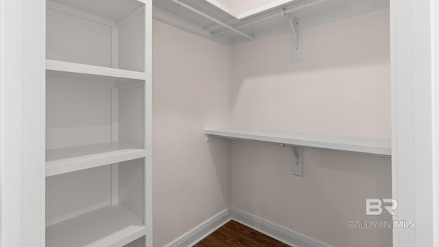 10253 Secretariat Blvd, Daphne, AL 36526 - walk in closet with dark wood-type flooring