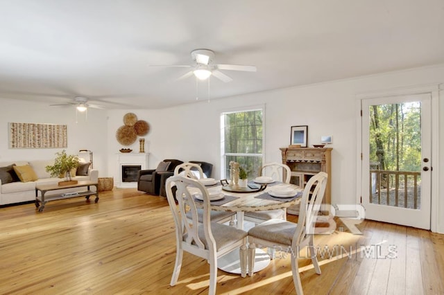 dining area featuring light hardwood / wood-style floors and ceiling fan