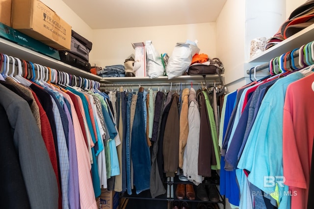 view of spacious closet