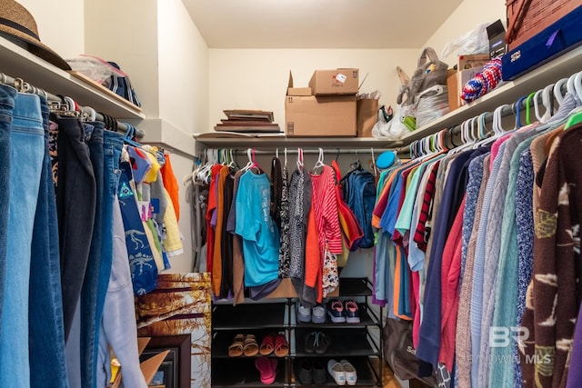 view of spacious closet