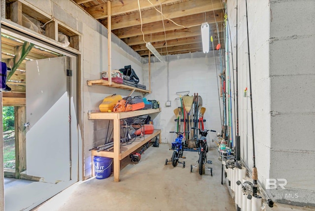 30230 Dolive Rdg, Daphne, AL 36527 - below grade area with a workshop area