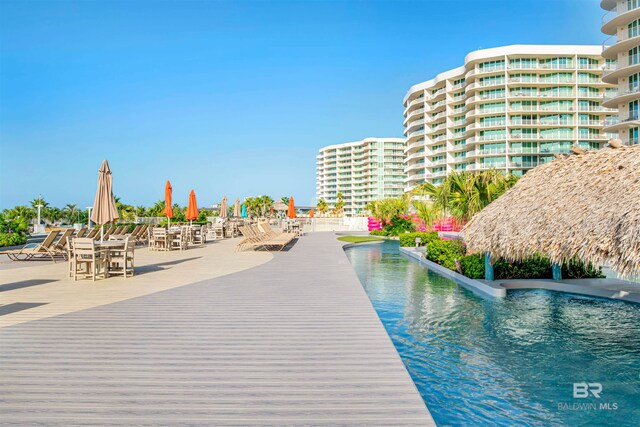 view of swimming pool