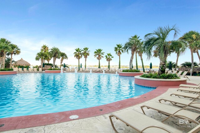 view of pool with a patio