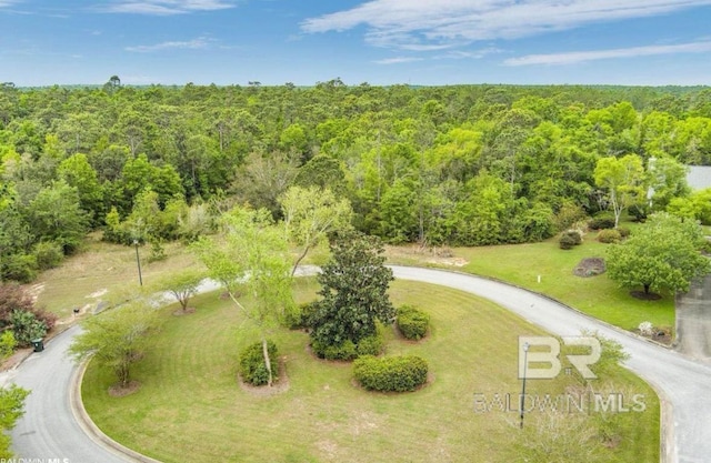 0 Tarklin View Dr, Lillian AL, 36549 land for sale