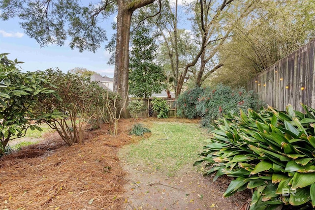 view of yard with a fenced backyard