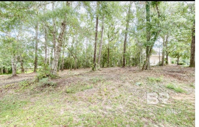 45 Viale Trentino, Fairhope AL, 36532 land for sale