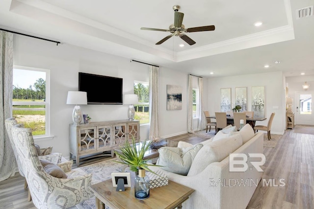 living room featuring a tray ceiling, a wealth of natural light, and light wood-type flooring