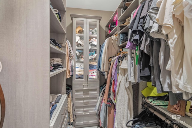 view of spacious closet