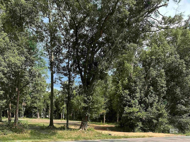 23160 County Road 55, Silverhill AL, 36576 land for sale