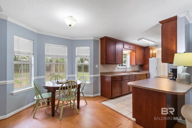 103 Hickory Ct, Daphne, AL 36526 - kitchen featuring a sink, light countertops, light wood-type flooring, white fridge with ice dispenser, and baseboards