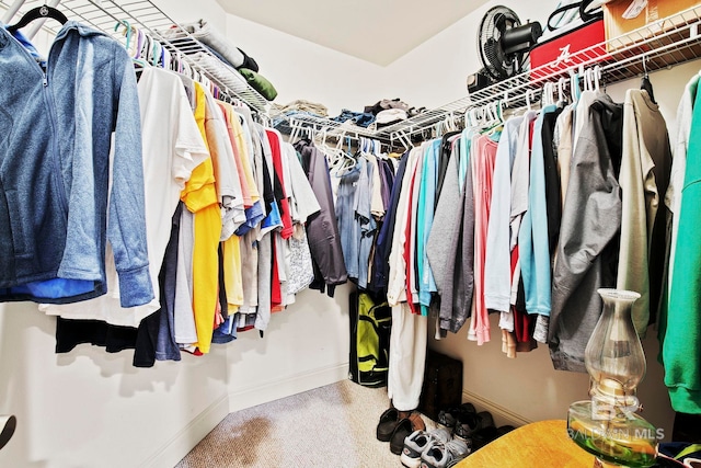 spacious closet with carpet