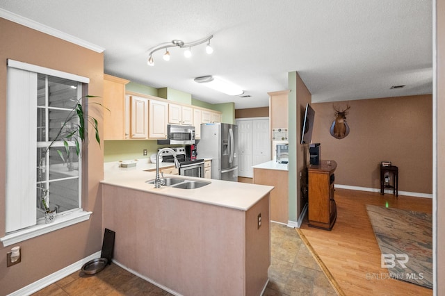 kitchen with sink, light hardwood / wood-style floors, kitchen peninsula, and appliances with stainless steel finishes