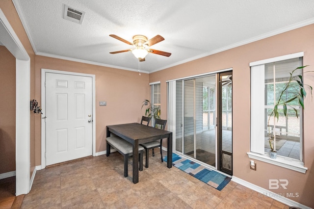 dining area featuring ornamental molding, ceiling fan, and a textured ceiling