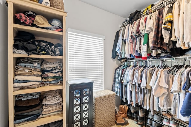 view of walk in closet