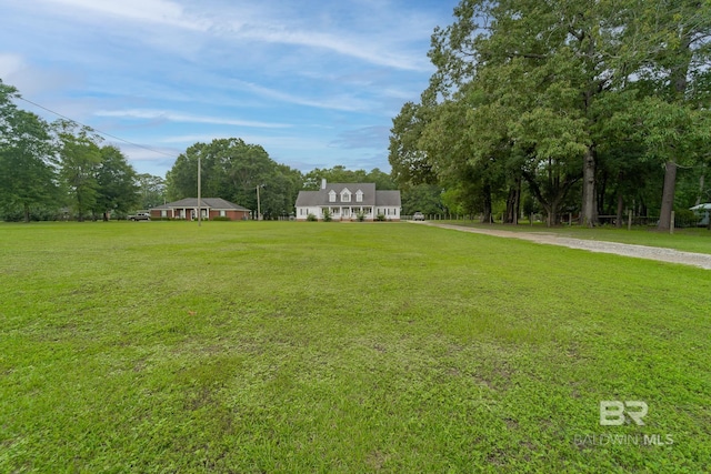 view of yard