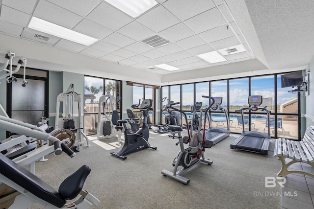 gym featuring a drop ceiling and carpet