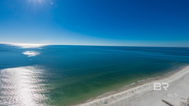 water view featuring a beach view